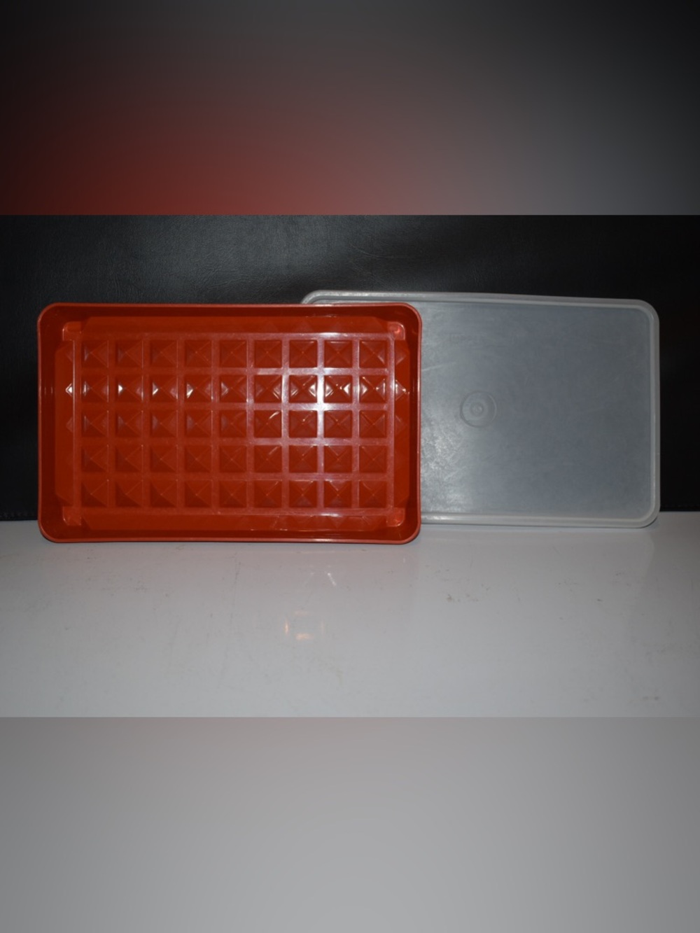 Tupperware Hotdog Container - Picture 3 of 3